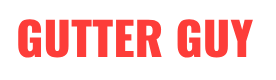 Gutter Guy